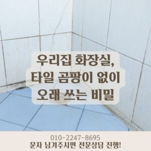 우리집 화장실, 타일 곰팡이 없이 오래 쓰는 비밀
