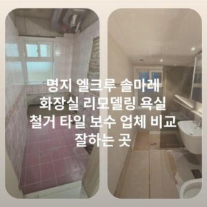 명지 엘크루 솔마레 화장실 리모델링 욕실 철거 타일 보수 업체 비교 잘하는 곳